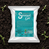 Seaweed Gel