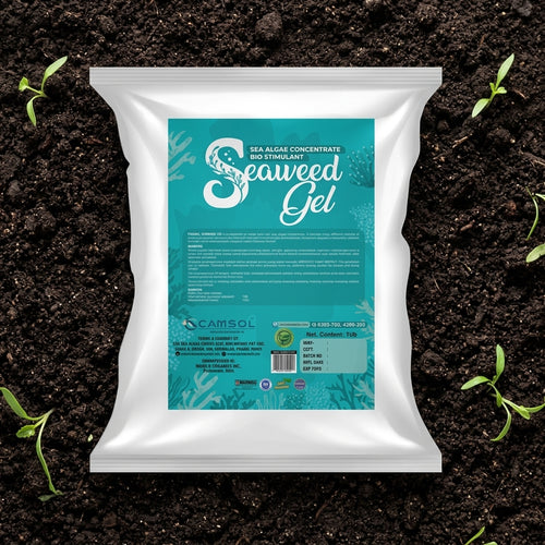 CAMSOL Seaweed Gel organic plant growth booster